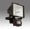Прожектор DIR(PG) 500 S з інфрачервоним датчиком на рух та освітленість