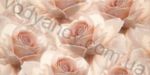 Плитка декор настінна Opoczno Royal Garden Flower 29.7 x 60 094307